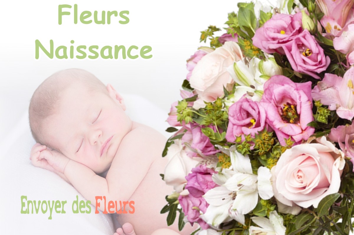 lIVRAISON FLEURS NAISSANCE à MONNETAY